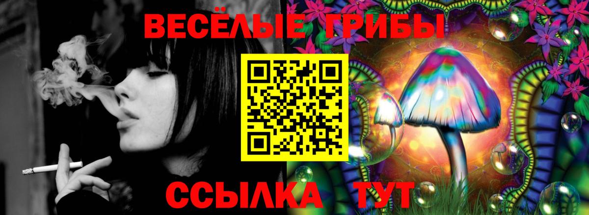 Галлюциногенные грибы Psilocybine cubensis  Галлюциногенные грибы Cubensis  Вход с VPN  Кудрово 