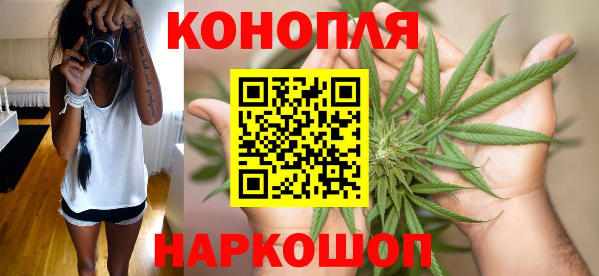 Бошки Шишки SATIVA & INDICA Кудрово